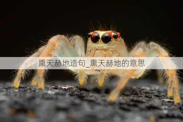 熏天赫地造句_熏天赫地的意思