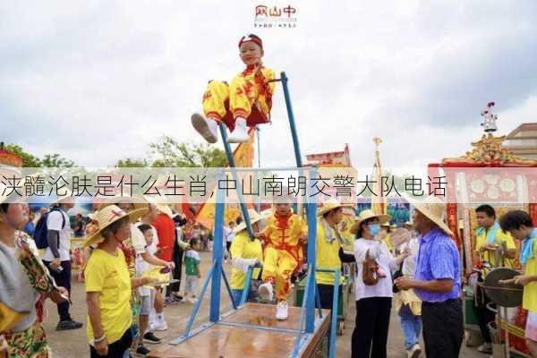 浃髓沦肤是什么生肖,中山南朗交警大队电话