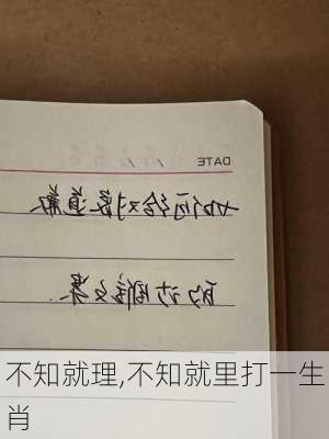 不知就理,不知就里打一生肖