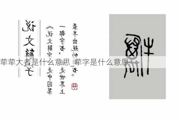 荦荦大者是什么意思_荦字是什么意思