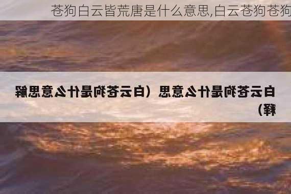 苍狗白云皆荒唐是什么意思,白云苍狗苍狗