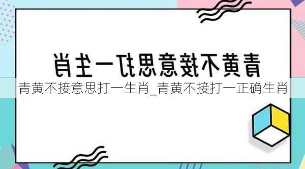 青黄不接意思打一生肖_青黄不接打一正确生肖