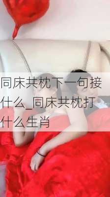 同床共枕下一句接什么_同床共枕打什么生肖