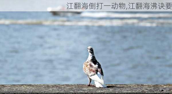 江翻海倒打一动物,江翻海沸诀要