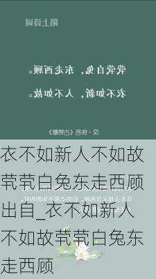 衣不如新人不如故茕茕白兔东走西顾出自_衣不如新人不如故茕茕白兔东走西顾