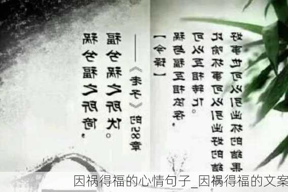 因祸得福的心情句子_因祸得福的文案