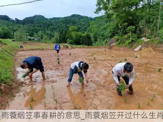 雨蓑烟笠事春耕的意思_雨蓑烟笠开过什么生肖