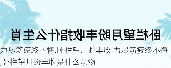 力尽筋疲终不悔,卧栏望月盼丰收,力尽筋疲终不悔,卧栏望月盼丰收是什么动物