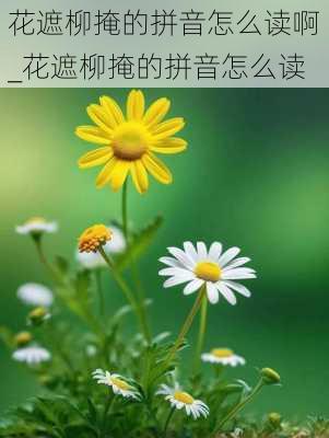 花遮柳掩的拼音怎么读啊_花遮柳掩的拼音怎么读