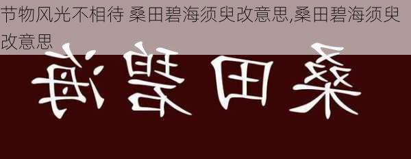 节物风光不相待 桑田碧海须臾改意思,桑田碧海须臾改意思