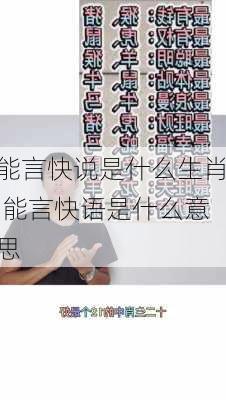 能言快说是什么生肖,能言快语是什么意思