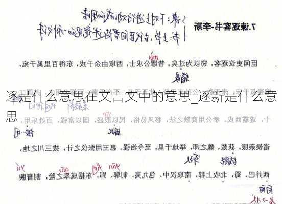 逐是什么意思在文言文中的意思_逐新是什么意思