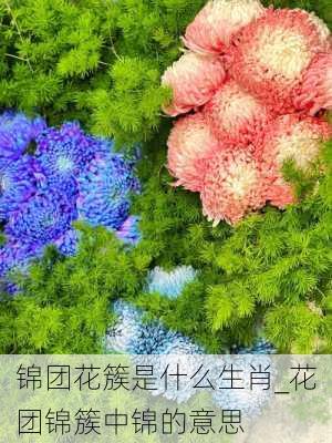 锦团花簇是什么生肖_花团锦簇中锦的意思