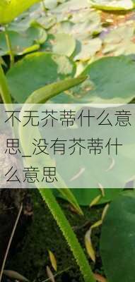 不无芥蒂什么意思_没有芥蒂什么意思