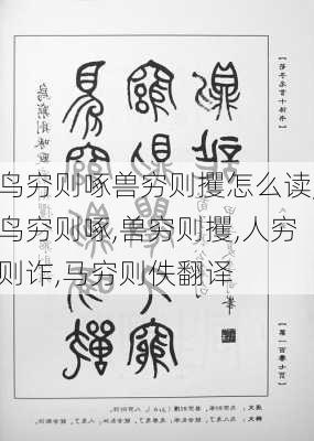 鸟穷则啄兽穷则攫怎么读,鸟穷则啄,兽穷则攫,人穷则诈,马穷则佚翻译