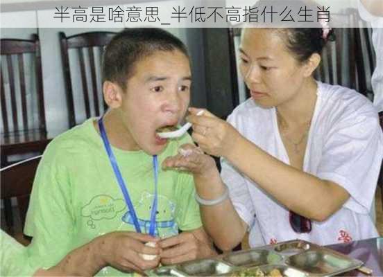 半高是啥意思_半低不高指什么生肖