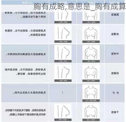 胸有成略,意思是_胸有成算