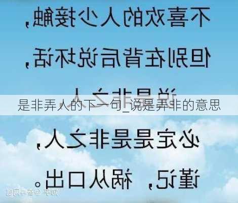 是非弄人的下一句_说是弄非的意思