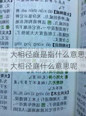 大相径庭是指什么意思,大相径庭什么意思呢