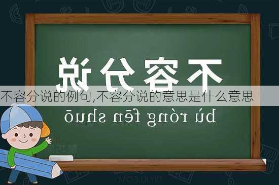 不容分说的例句,不容分说的意思是什么意思