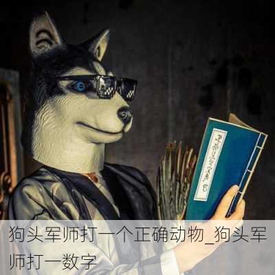 狗头军师打一个正确动物_狗头军师打一数字