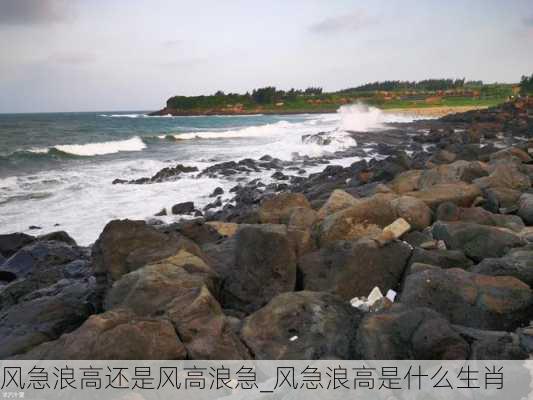 风急浪高还是风高浪急_风急浪高是什么生肖