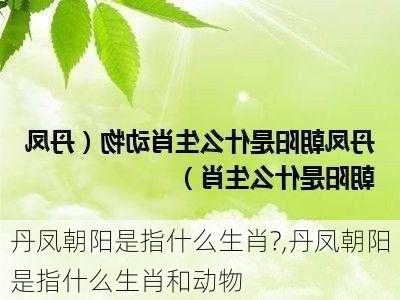 丹凤朝阳是指什么生肖?,丹凤朝阳是指什么生肖和动物