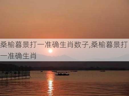 桑榆暮景打一准确生肖数子,桑榆暮景打一准确生肖