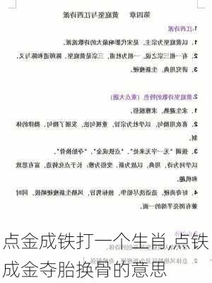 点金成铁打一个生肖,点铁成金夺胎换骨的意思