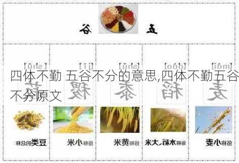 四体不勤 五谷不分的意思,四体不勤五谷不分原文