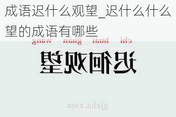 成语迟什么观望_迟什么什么望的成语有哪些