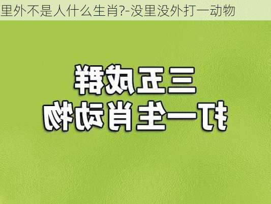 里外不是人什么生肖?-没里没外打一动物