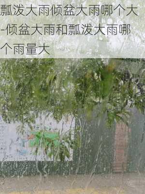 瓢泼大雨倾盆大雨哪个大-倾盆大雨和瓢泼大雨哪个雨量大